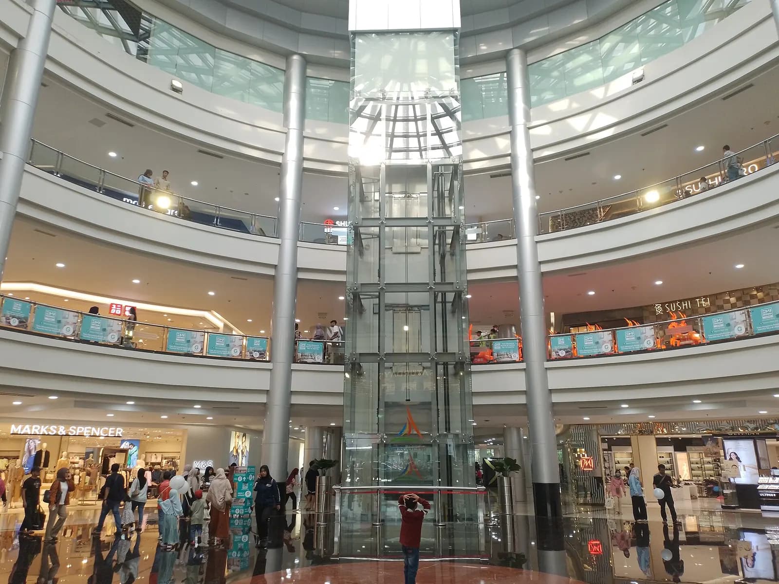 Exhibitions in Algeria